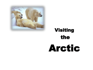 Arctic VFT - visitingthearctic