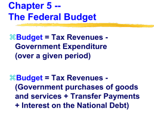 The Government Budget