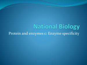 Enzyme specificity - charlestonbiology