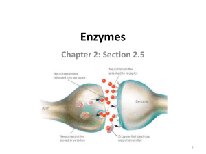 Enzymes