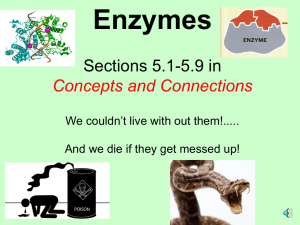 1. Enzymes PPT