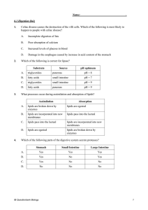 SL 6.1 Digestion Practice Test Questions
