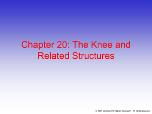 Chapter 20: The Knee and Related Structures