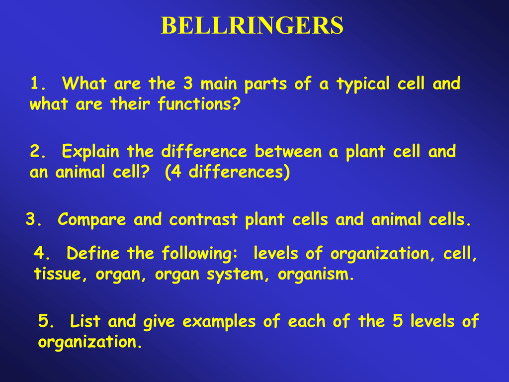 2. Explain the difference between a plant cell and an animal cell?