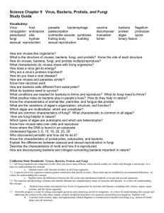 Science Chapter 9 Virus, Bacteria, Protists, and Fungi Study Guide