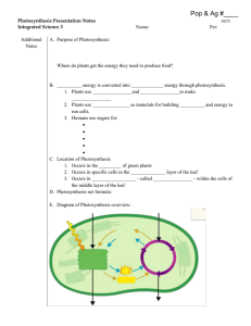 Photosynthesis Presentation Notes