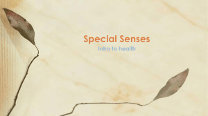 Special Senses - Davis School District
