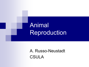 Animal Reproduction - Cal State L.A. - Cal State LA