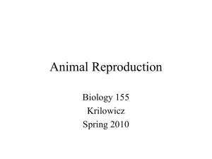 Animal Reproduction - Cal State LA