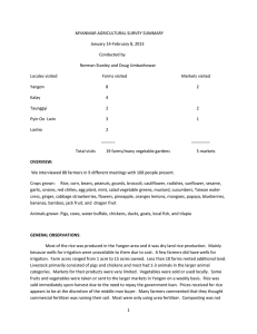 MYANMAR-AGRICULTURAL-SURVEY-SUMMARY