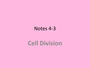 Notes 4-3, cell division