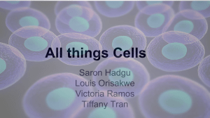 All things Cells
