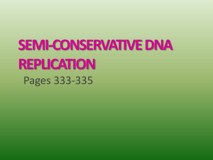 Semi-conservative DNA Replication