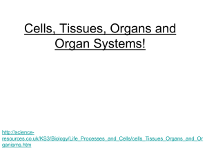 Cells, Tissues, Organs and Organ Systems!