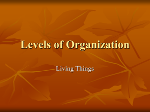 Levels of Organization Power Point
