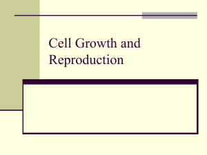 Cell Growth and Reproduction