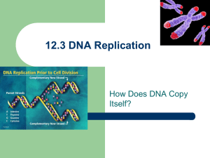 DNA*s Discovery and Structure