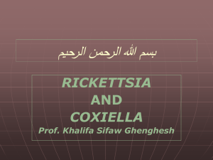 Lecture 30-Rickettsia, Coxiella