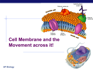 Chapter 8. Movement across the Membrane