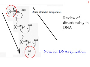 DNA structure and synthesis
