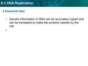 2.7 DNA Replication