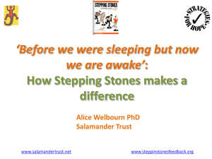 Costings - Stepping Stones