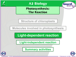 The light-independent reaction