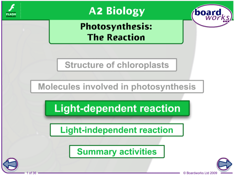 the-light-independent-reaction