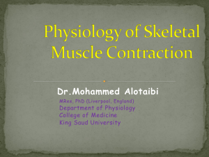 L6- Physiology of Muscle Contraction