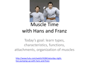 NEW1 Muscle Time with Hans and Franz