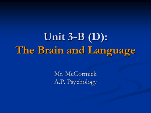 A.P. Psychology 3-B (D) - The Brain and Language