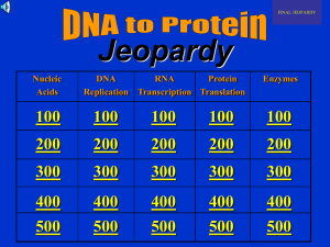 Molecular Genetics Jeopardy