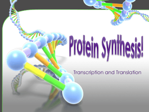 DNA Helix Strand