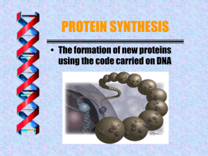 Protein Synthesis answer gaps