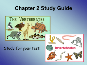 Chapter 2 Study Guide