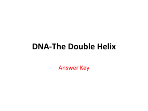 DNA-The Double Helix