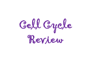 Cell Cycle Review - Mrs. Rogers Science Site