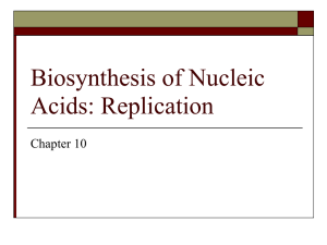 Biosynthesis of Nucleic Acids: Replication