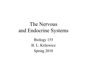 nervous and endocrine systems
