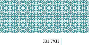 Cell Cycle - Cloudfront.net