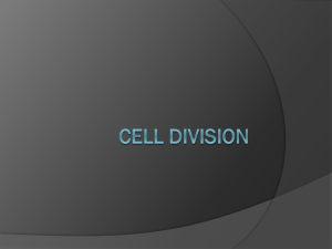 Cell Division - byrdistheword