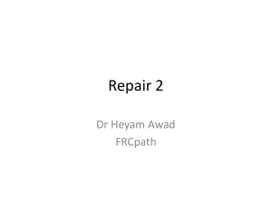 Repair 2