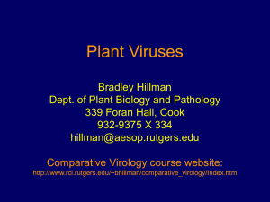 Plant Virology - Program for Disability Research