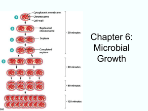 Chapter 6: Microbial Growth