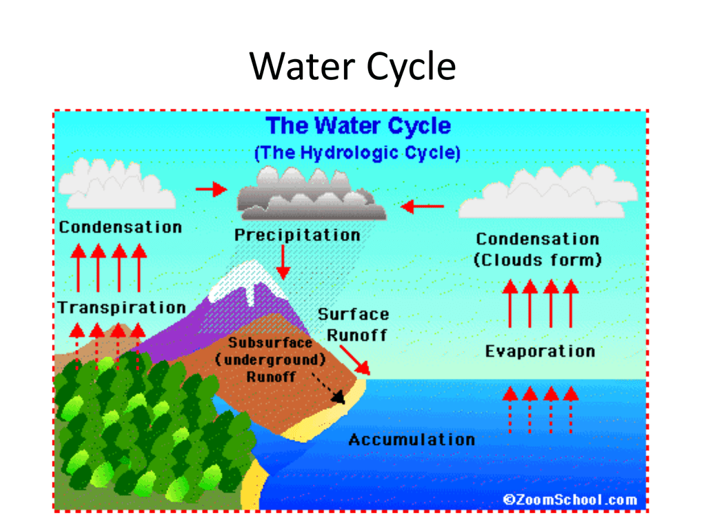 biogeochemical-cycles