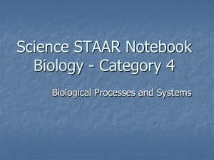 Science STAAR Notebook Biology - Category 4