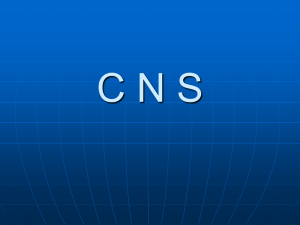 CNS1