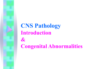 cns-developmental-abnormalities