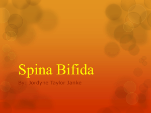 Spina Bifida research paper english 10