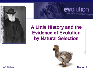 Darwin and the Evidence for Evolution